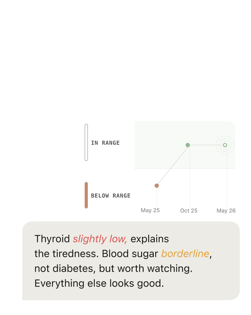 Lab results explained in plain language — thyroid slightly low, blood sugar borderline