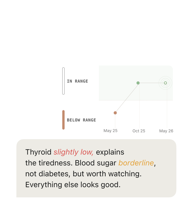Lab results explained in plain language — thyroid slightly low, blood sugar borderline